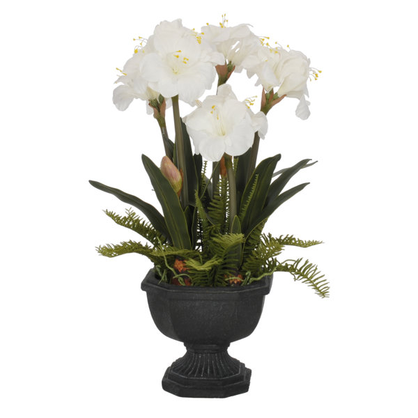 House of Silk Flowers Artificial Amaryllis in Urn Wayfair